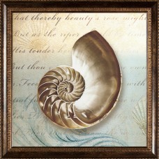 Pro Tour Memorabilia Seashell Framed Artwork   552253547